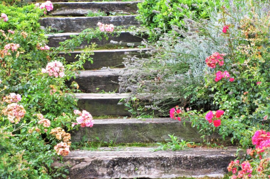 Garden steps, Italy